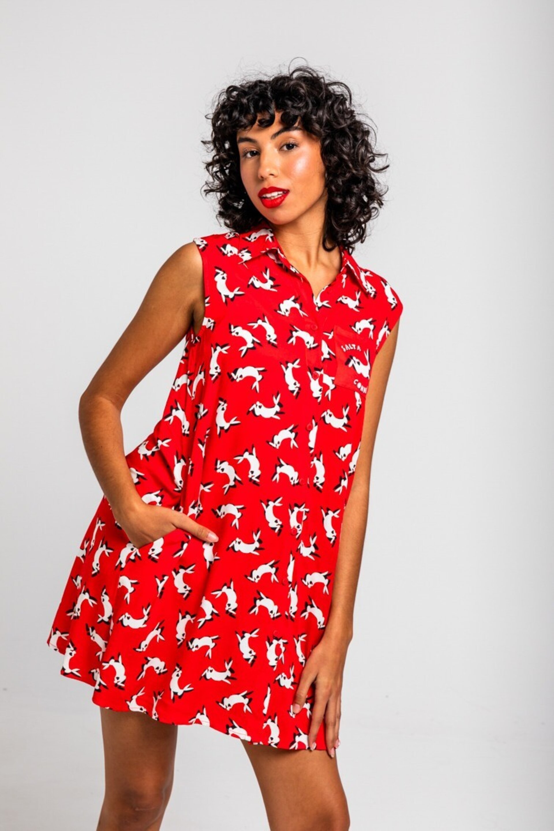 Vestido Lolina - 1